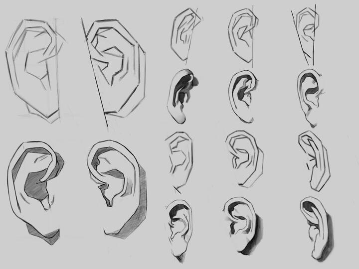 Ears 2025 Dec